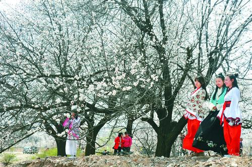 五星体育直播 英超焦点战